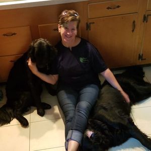 Meet your Posher, Heather